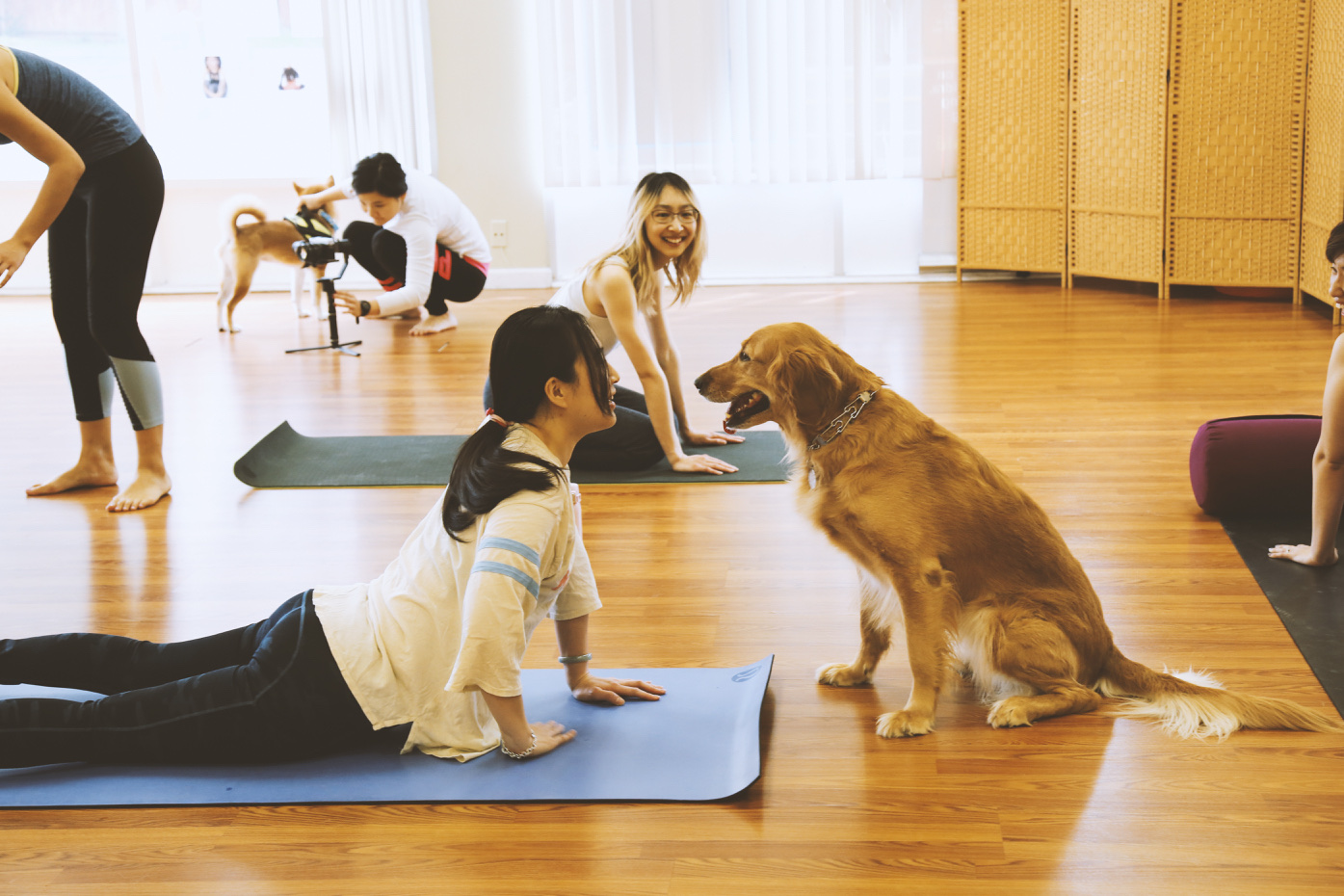 Jiaren Yoga Studio & Wellness Center In Santa Clara CA